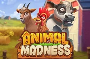 Animal Madness